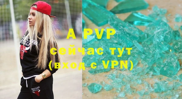 молекула духа Бежецк