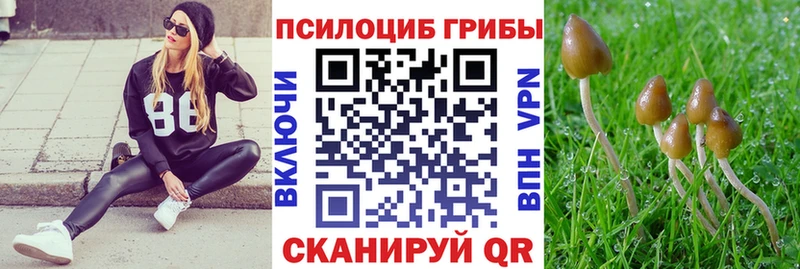 купить наркотики сайты  KRAKEN онион  Псилоцибиновые грибы Magic Shrooms  Щёкино 